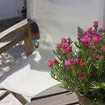 Sourmeli Garden
