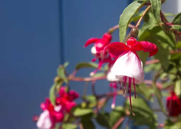 Sourmeli Garden Otel