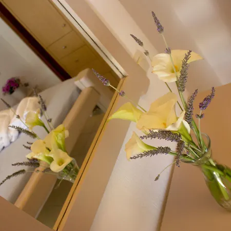 سورملي غاردن