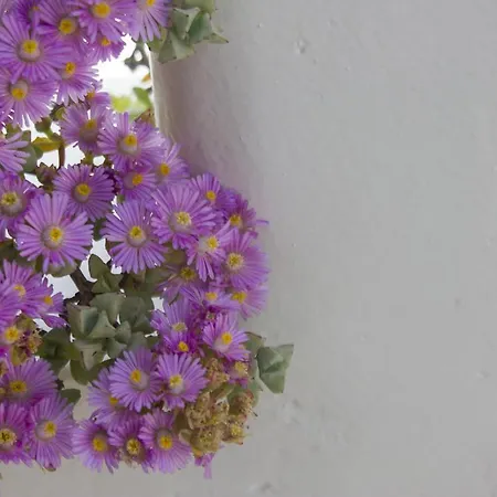 Hotel Sourmeli Garden *